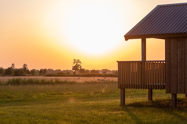 Foto van Lodge in Drenthe met uitzicht veranda - Vakantiehuis in Ruinerwold - ExteriorSummer