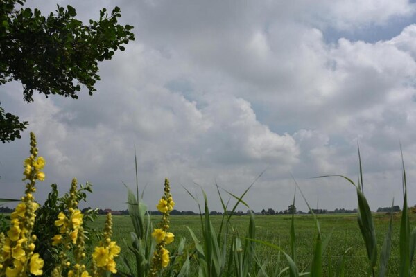 Foto van Villa aan Tjeukemeer met Privé Steiger - Vakantiehuis in Delfstrahuizen - AreaSummer20KM