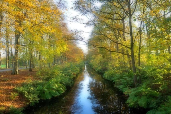Foto van Docklodge in Friesland met eigen aanlegplaats - Vakantiehuis in Delfstrahuizen - AreaSummer5KM