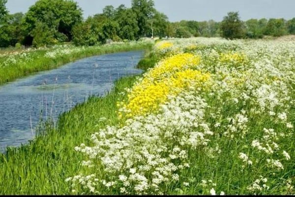 Foto van Docklodge in Friesland met eigen aanlegplaats - Vakantiehuis in Delfstrahuizen - AreaSummer20KM