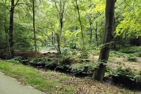 Foto van Villa met tuin, op vakantiepark aan het water - Vakantiehuis in Idskenhuizen - AreaSummer20KM