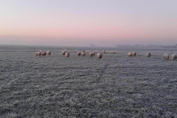 Foto van Villa in Friesland met Aanlegsteiger - Vakantiehuis in Idskenhuizen - AreaSummer20KM