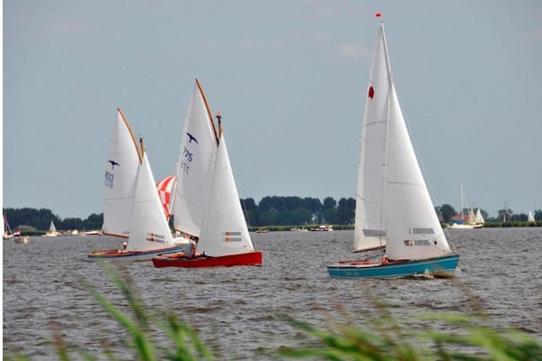 Foto van Modern chalet vlakbij het Sneekse Meer - Vakantiehuis in Terkaple - AreaSummer20KM