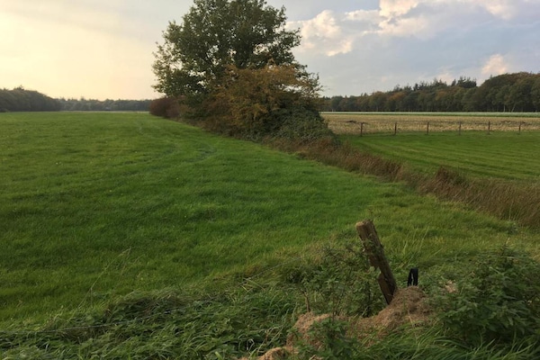 Foto van Modern chalet vlakbij het Sneekse Meer - Vakantiehuis in Terkaple - AreaSummer20KM