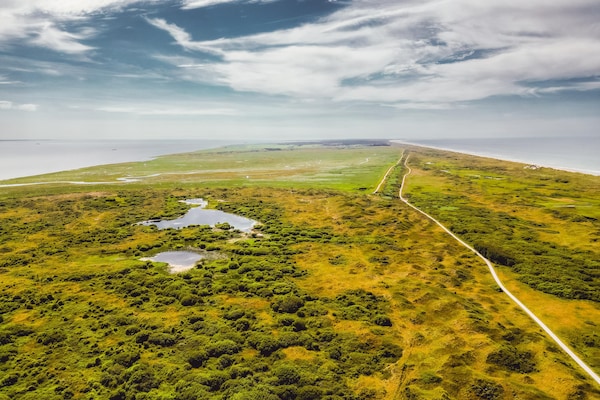 Foto van Comfort Lodge in Boomhiemke - Vakantiehuis in Hollum-Ameland - AreaSummer20KM