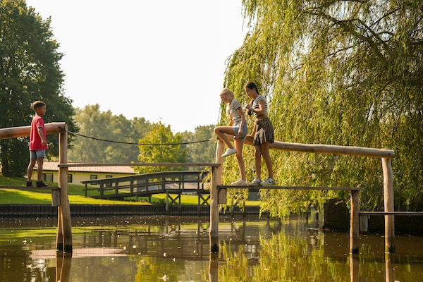 Foto van Modern chalet nabij bos - Vakantiehuis in Gasselternijveen - ParkFacilities
