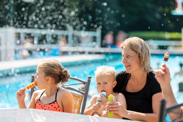 Foto van Modern chalet nabij bos - Vakantiehuis in Gasselternijveen - Ambiance