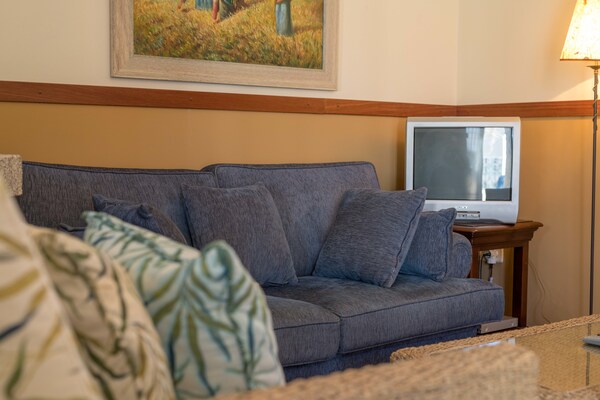 Foto van Geschakelde vakantiewoning op landgoed met zwembad en uitzicht op wijngaard - Ambiance