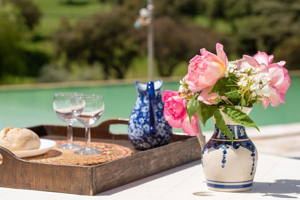Foto van Wijnlandhuis in Alentejo - Vakantiehuis in Montemor O Novo - Ambiance